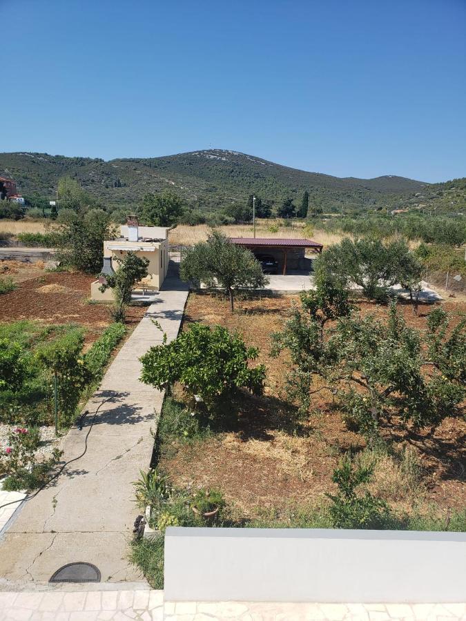 Apartmani Ciklic Dobropoljana Exteriér fotografie
